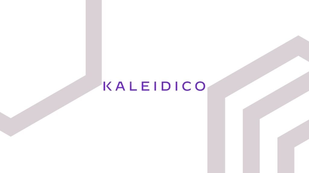 Kaleidico Reveals the Best Michigan-Based Website Designs in 2024